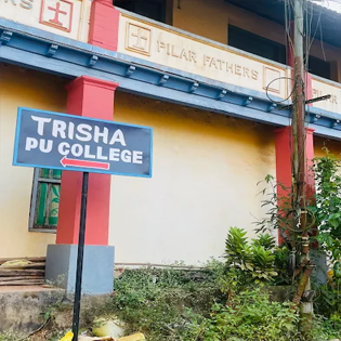 Trisha PU College